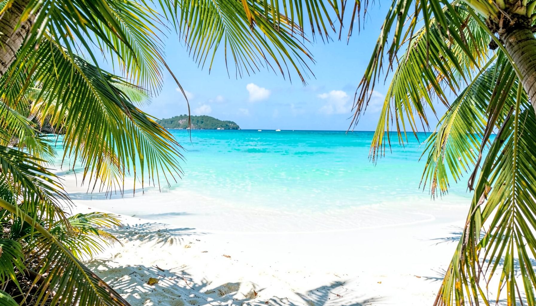 A tropical beach scene with turquoise water and white sand, framed by palm fronds, evoking a Caribbean getaway.